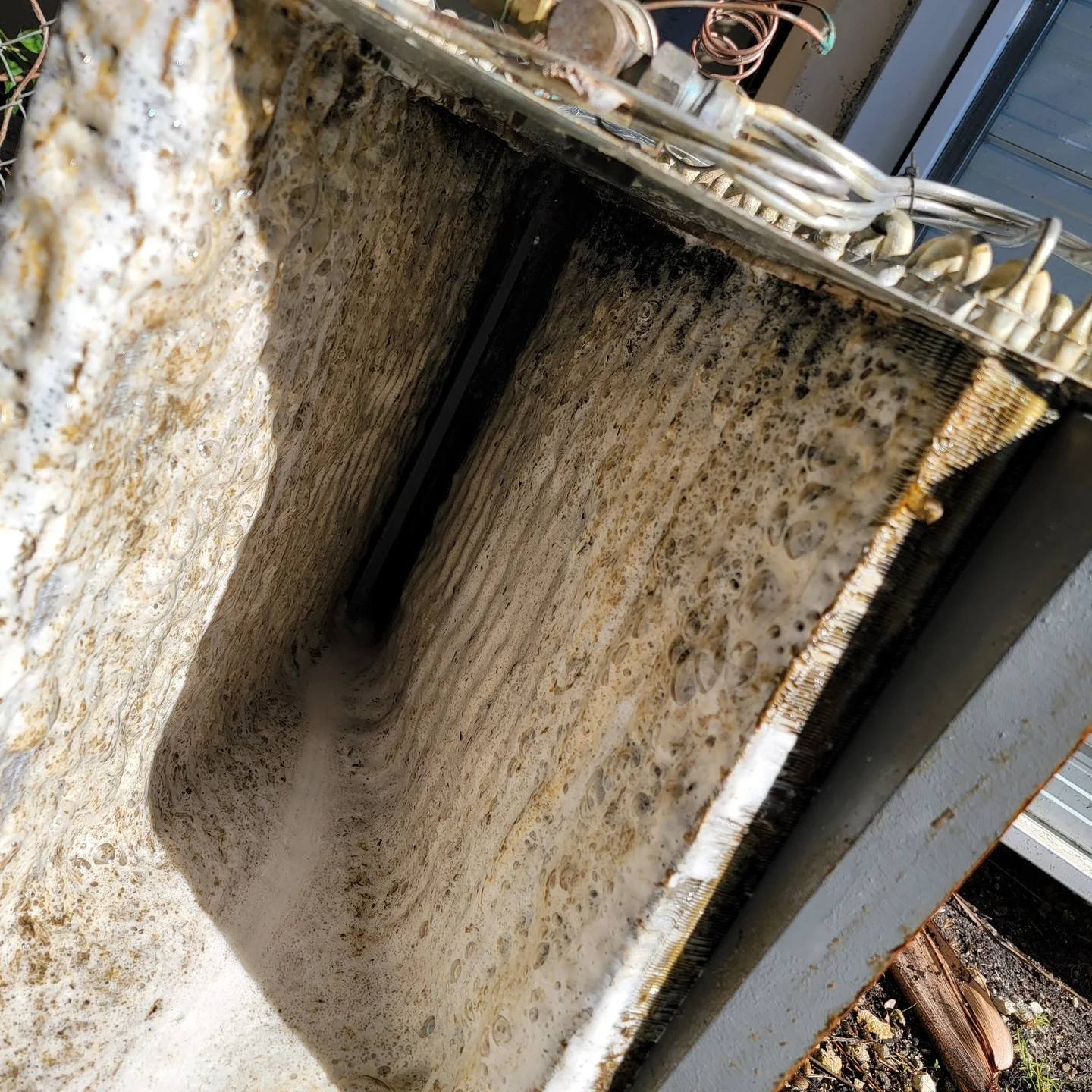 Dirty evaporator coil shown during Coldlife AC maintenance.